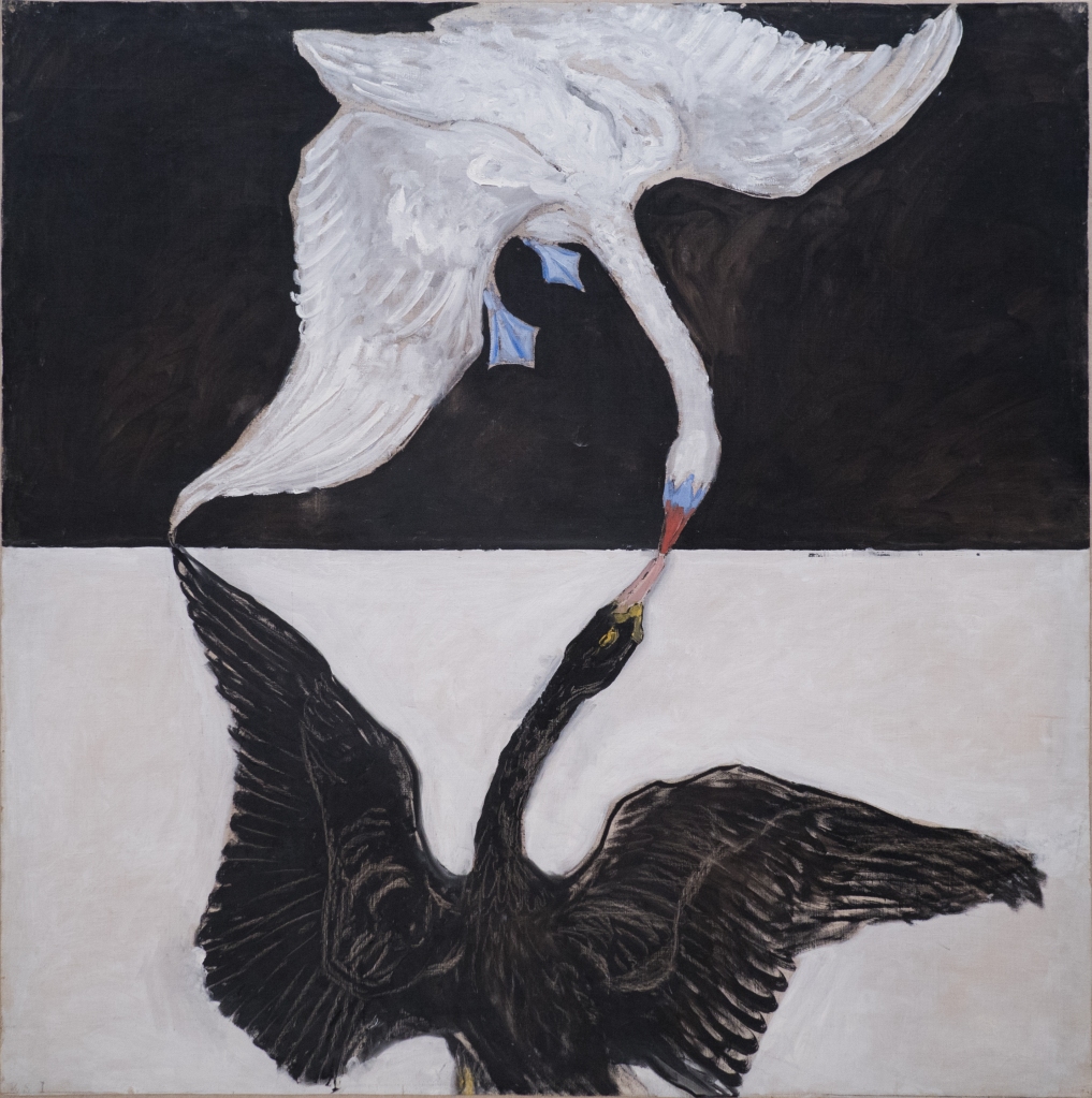 White swan touching beaks with black swan