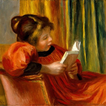 Brunette reading a book